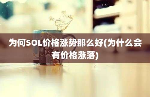 为何SOL价格涨势那么好(为什么会有价格涨落)