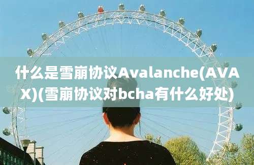 什么是雪崩协议Avalanche(AVAX)(雪崩协议对bcha有什么好处)