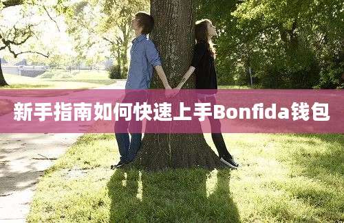 新手指南如何快速上手Bonfida钱包