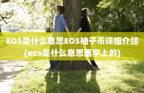 EOS是什么意思EOS柚子币详细介绍(eos是什么意思医学上的)