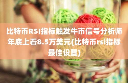 比特币RSI指标触发牛市信号分析师年底上看8.5万美元(比特币rsi指标最佳设置)