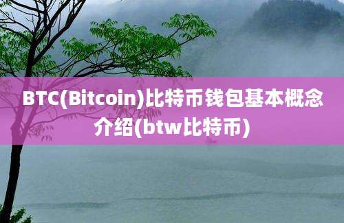 BTC(Bitcoin)比特币钱包基本概念介绍(btw比特币)