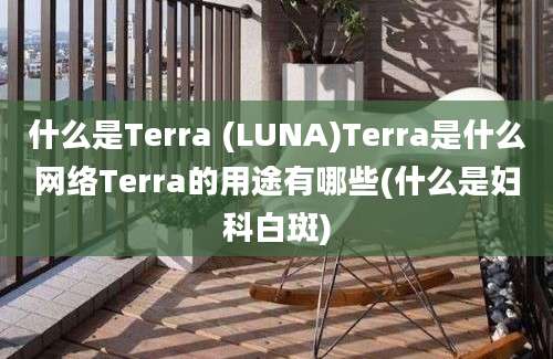 什么是Terra (LUNA)Terra是什么网络Terra的用途有哪些(什么是妇科白斑)