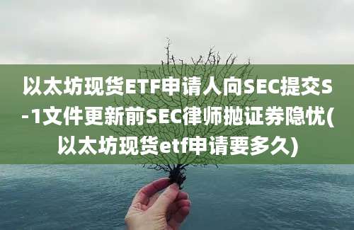 以太坊现货ETF申请人向SEC提交S-1文件更新前SEC律师抛证券隐忧(以太坊现货etf申请要多久)