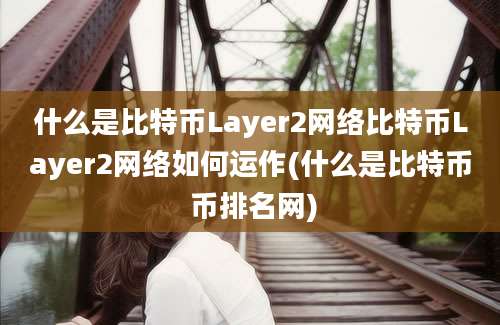 什么是比特币Layer2网络比特币Layer2网络如何运作(什么是比特币 币排名网)