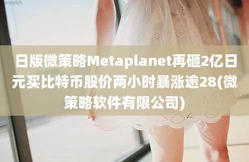 日版微策略Metaplanet再砸2亿日元买比特币股价两小时暴涨逾28(微策略软件有限公司)