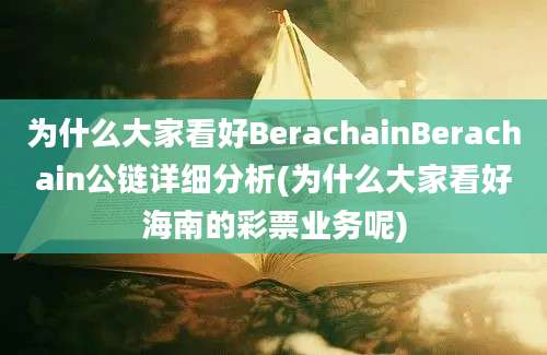 为什么大家看好BerachainBerachain公链详细分析(为什么大家看好海南的彩票业务呢)