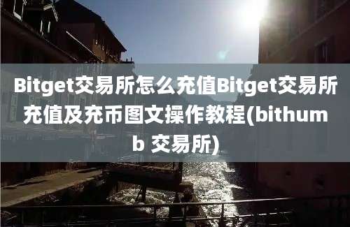 Bitget交易所怎么充值Bitget交易所充值及充币图文操作教程(bithumb 交易所)