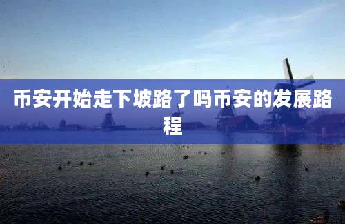 币安开始走下坡路了吗币安的发展路程