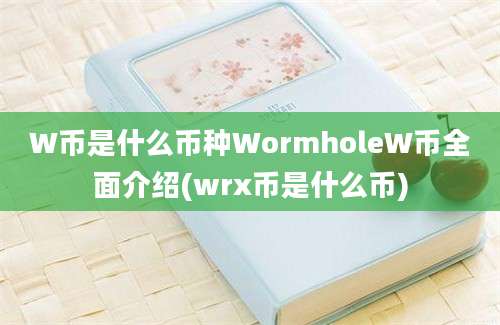 W币是什么币种WormholeW币全面介绍(wrx币是什么币)