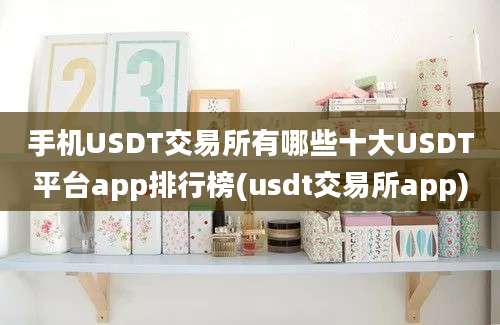 手机USDT交易所有哪些十大USDT平台app排行榜(usdt交易所app)