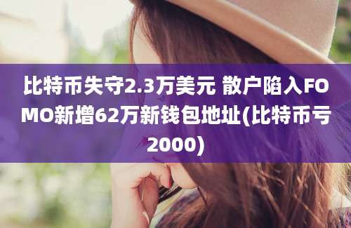 比特币失守2.3万美元 散户陷入FOMO新增62万新钱包地址(比特币亏2000)