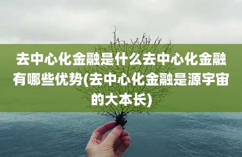 去中心化金融是什么去中心化金融有哪些优势(去中心化金融是源宇宙的大本长)