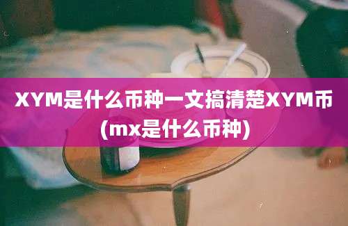 XYM是什么币种一文搞清楚XYM币(mx是什么币种)