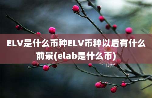 ELV是什么币种ELV币种以后有什么前景(elab是什么币)