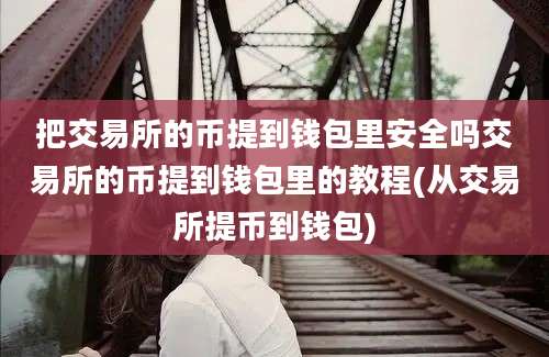 把交易所的币提到钱包里安全吗交易所的币提到钱包里的教程(从交易所提币到钱包)