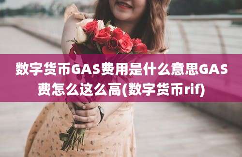 数字货币GAS费用是什么意思GAS费怎么这么高(数字货币rif)