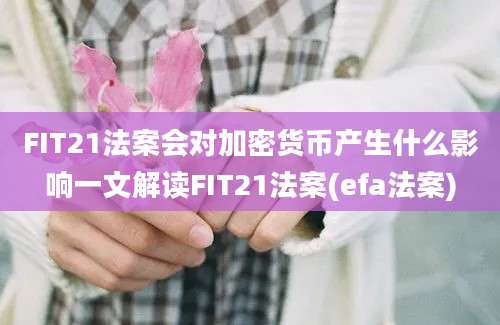 FIT21法案会对加密货币产生什么影响一文解读FIT21法案(efa法案)