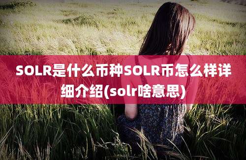 SOLR是什么币种SOLR币怎么样详细介绍(solr啥意思)