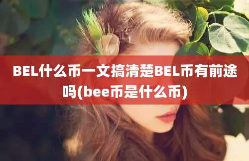 BEL什么币一文搞清楚BEL币有前途吗(bee币是什么币)