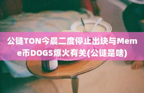 公链TON今晨二度停止出块与Meme币DOGS爆火有关(公链是啥)