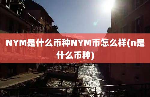 NYM是什么币种NYM币怎么样(n是什么币种)