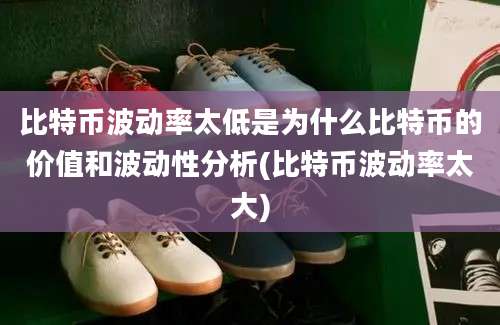 比特币波动率太低是为什么比特币的价值和波动性分析(比特币波动率太大)