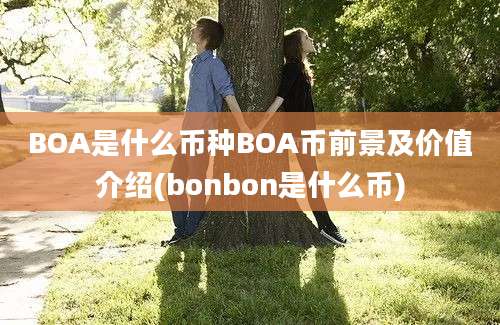 BOA是什么币种BOA币前景及价值介绍(bonbon是什么币)