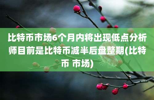 比特币市场6个月内将出现低点分析师目前是比特币减半后盘整期(比特币 市场)