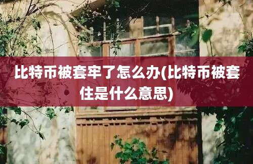 比特币被套牢了怎么办(比特币被套住是什么意思)