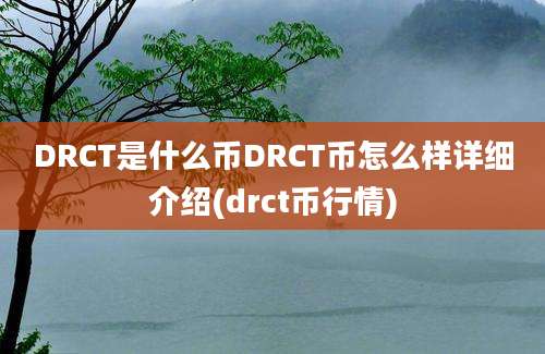 DRCT是什么币DRCT币怎么样详细介绍(drct币行情)