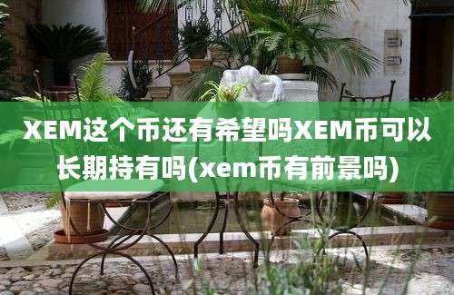 XEM这个币还有希望吗XEM币可以长期持有吗(xem币有前景吗)