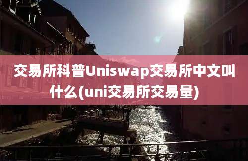 交易所科普Uniswap交易所中文叫什么(uni交易所交易量)