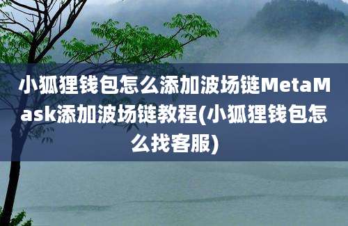 小狐狸钱包怎么添加波场链MetaMask添加波场链教程(小狐狸钱包怎么找客服)