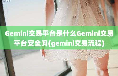 Gemini交易平台是什么Gemini交易平台安全吗(gemini交易流程)