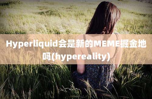 Hyperliquid会是新的MEME掘金地吗(hypereality)