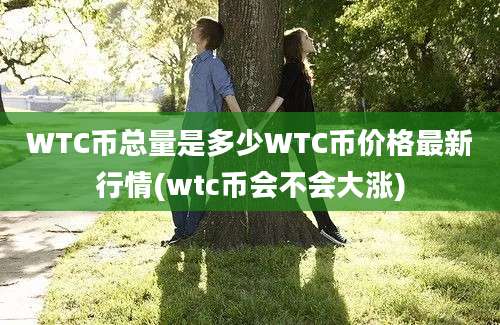 WTC币总量是多少WTC币价格最新行情(wtc币会不会大涨)