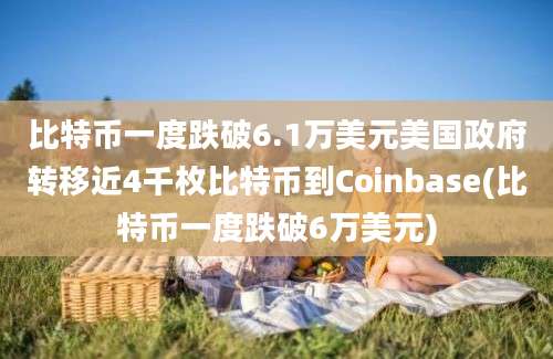 比特币一度跌破6.1万美元美国政府转移近4千枚比特币到Coinbase(比特币一度跌破6万美元)