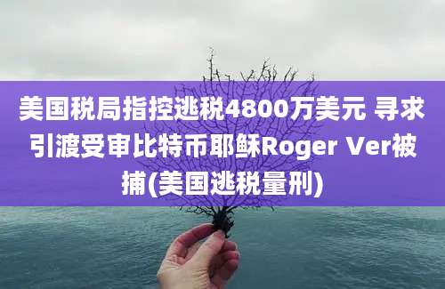 美国税局指控逃税4800万美元 寻求引渡受审比特币耶稣Roger Ver被捕(美国逃税量刑)