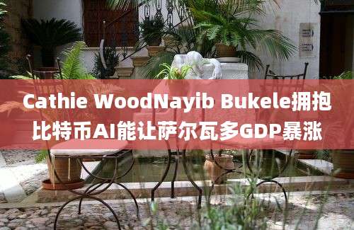 Cathie WoodNayib Bukele拥抱比特币AI能让萨尔瓦多GDP暴涨