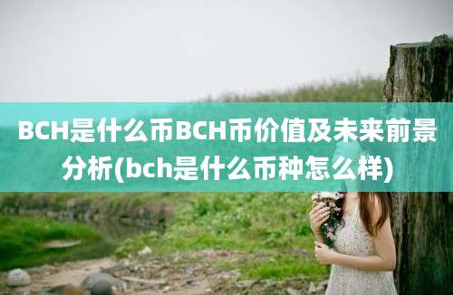 BCH是什么币BCH币价值及未来前景分析(bch是什么币种怎么样)