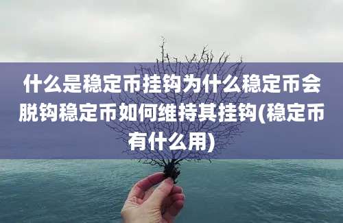 什么是稳定币挂钩为什么稳定币会脱钩稳定币如何维持其挂钩(稳定币有什么用)