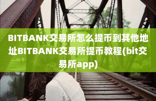 BITBANK交易所怎么提币到其他地址BITBANK交易所提币教程(bit交易所app)