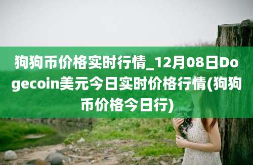 狗狗币价格实时行情_12月08日Dogecoin美元今日实时价格行情(狗狗币价格今日行)