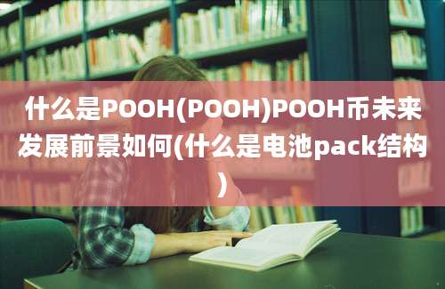 什么是POOH(POOH)POOH币未来发展前景如何(什么是电池pack结构)