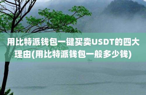 用比特派钱包一键买卖USDT的四大理由(用比特派钱包一般多少钱)