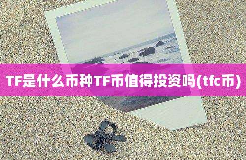 TF是什么币种TF币值得投资吗(tfc币)