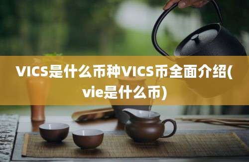 VICS是什么币种VICS币全面介绍(vie是什么币)