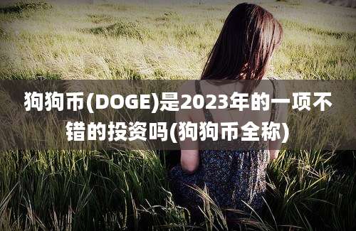 狗狗币(DOGE)是2023年的一项不错的投资吗(狗狗币全称)