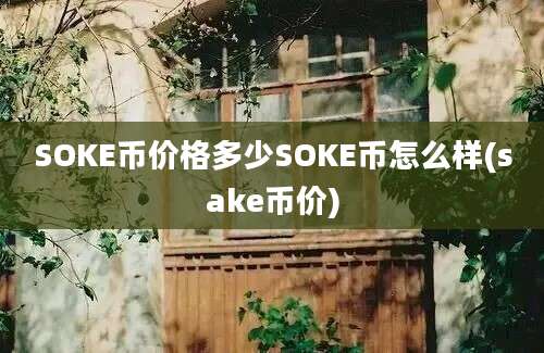 SOKE币价格多少SOKE币怎么样(sake币价)